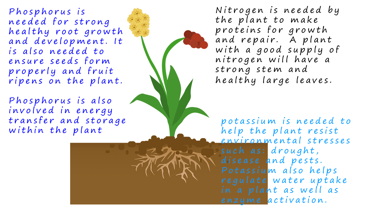The essential minerals that plants need for healthy growth  The three most important are nitrogen, phosphorus and potassium.